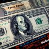 Fund manager
