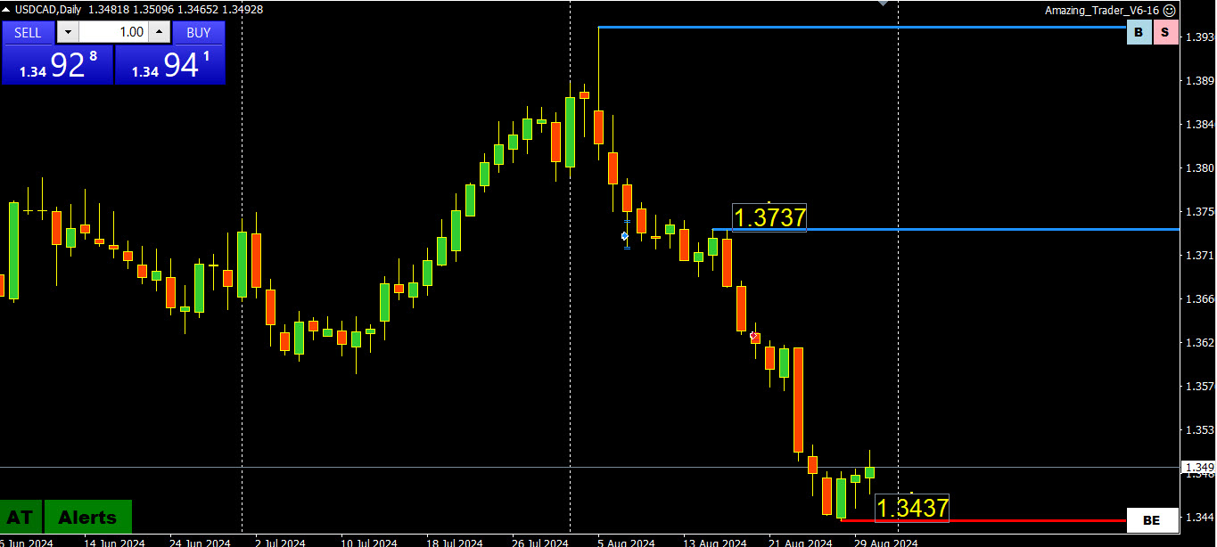 daily chart