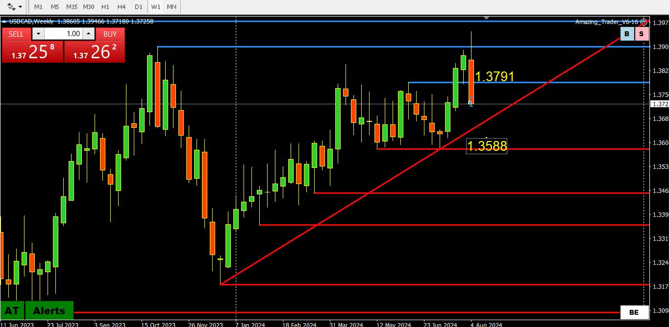 Weekly Charts Analysis