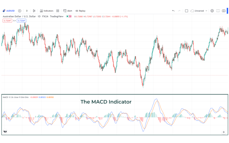 That 1 Special Indicator for Successful Trading