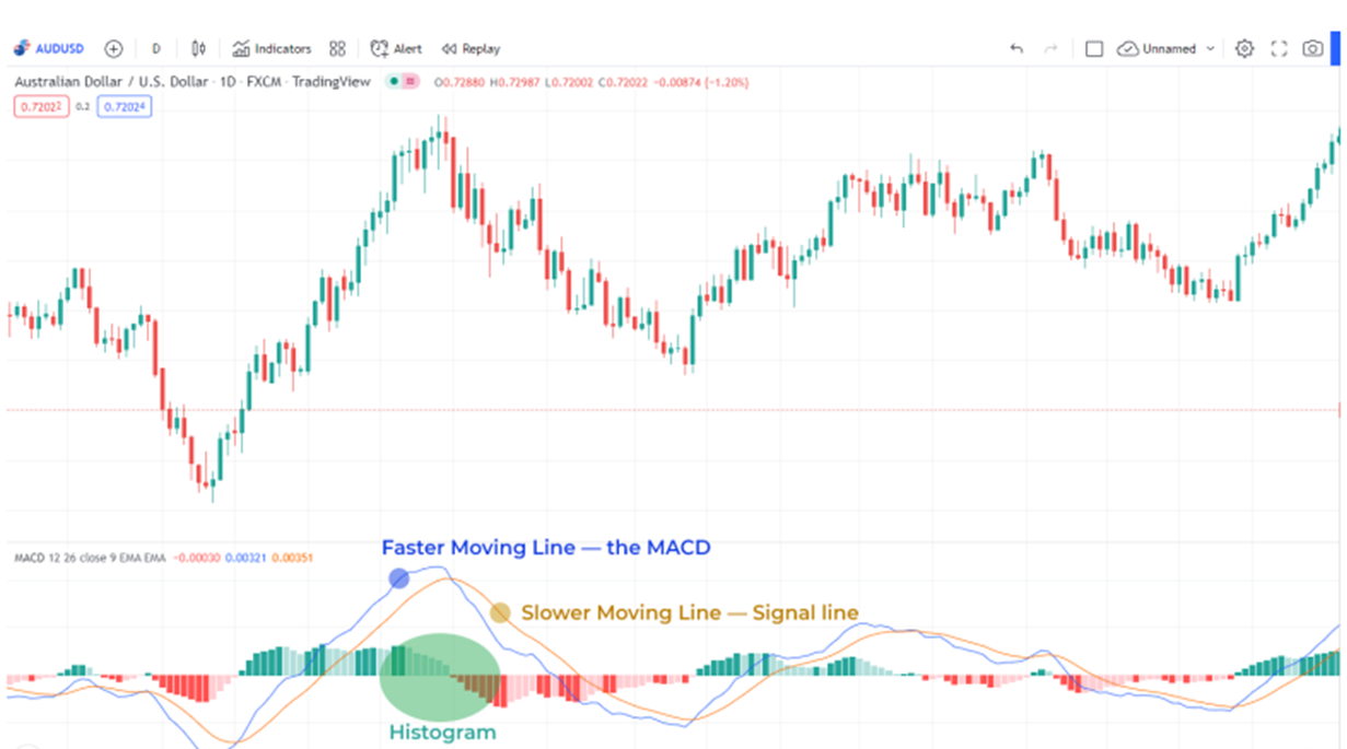 That 1 Special Indicator for Successful Trading