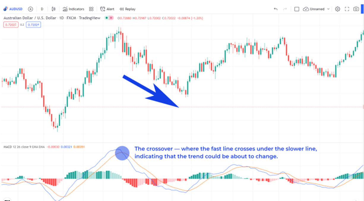 That 1 Special Indicator for Successful Trading