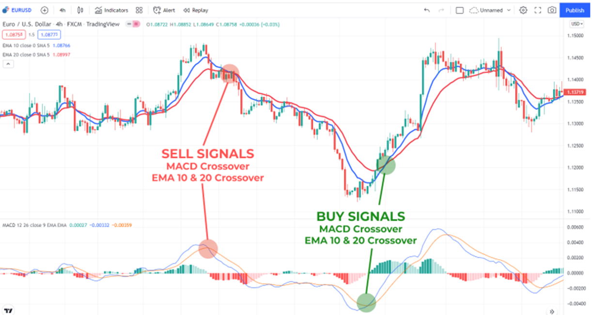 That 1 Special Indicator for Successful Trading