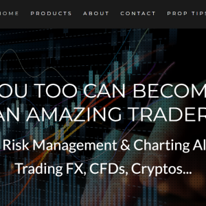 What is The Amazing Trader Story?