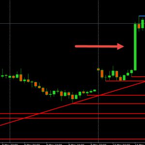 8 Rookie Mistakes Every New Forex Trader Should Avoid