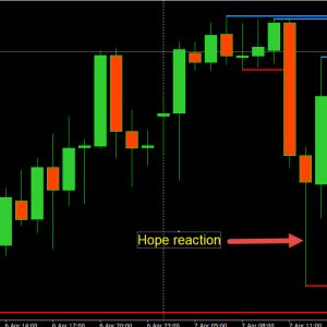 Trading and Risk Management