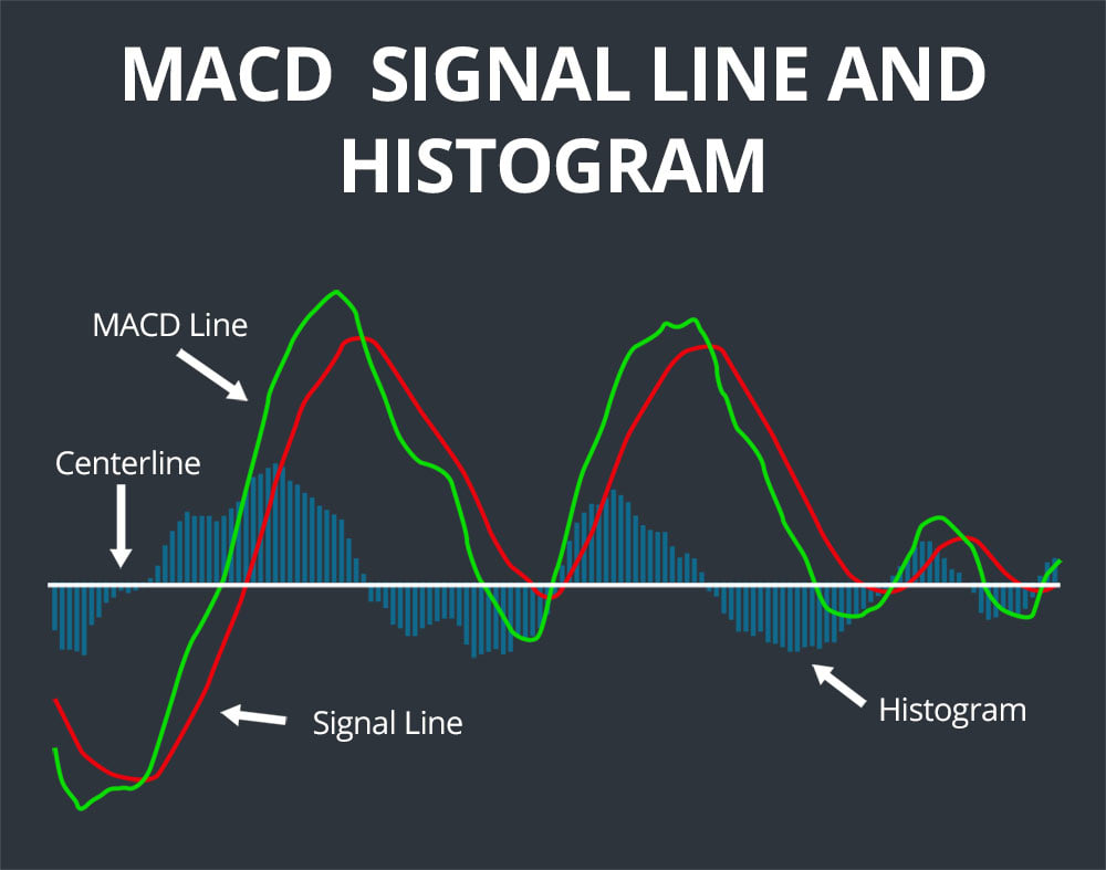 MACD line, signal line, histogram, and zero line